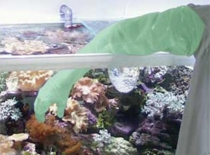 Tunze Akvarie handsker